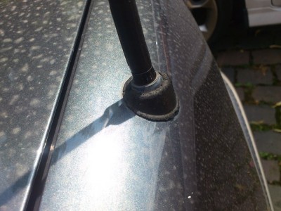 ant.jpg (103.89 KiB) 3066 mal betrachtet ant.jpg