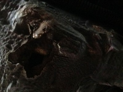 2014-08-17-12.52.05-(3).jpg (137.13 KiB) 3906 mal betrachtet 2014-08-17-12.52.05-(3).jpg