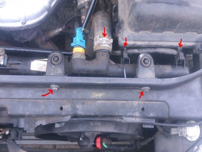 DSC_3491 - Kopie.JPG (110.5 KiB) 16328 mal betrachtet DSC_3491 - Kopie.JPG