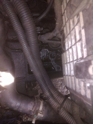 IMG_20201003_112906-min.jpg (679.9 KiB) 4727 mal betrachtet IMG_20201003_112906-min.jpg