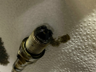 IMG_1021.jpg (147 KiB) 6896 mal betrachtet IMG_1021.jpg