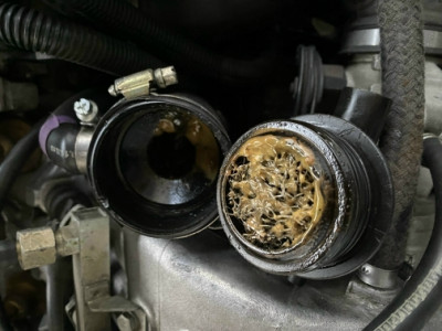 IMG_1044.jpg (159.93 KiB) 10403 mal betrachtet IMG_1044.jpg