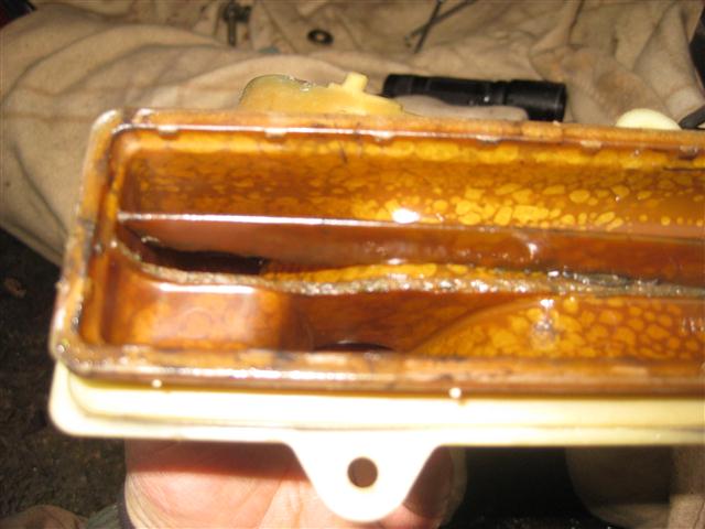 IMG_3084 (Small).JPG