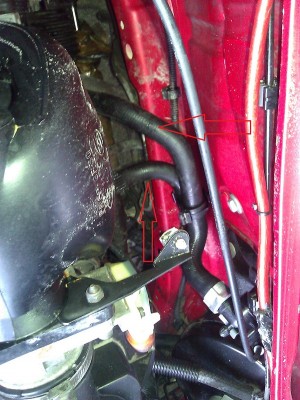 WP_000124.jpg (229.12 KiB) 2532 mal betrachtet WP_000124.jpg