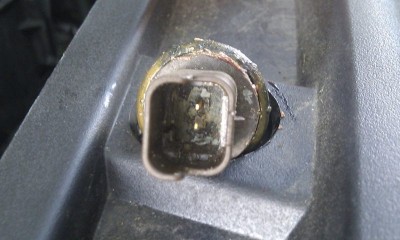 IMAG1305.jpg (64.96 KiB) 11353 mal betrachtet IMAG1305.jpg