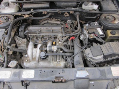 K800_015.JPG