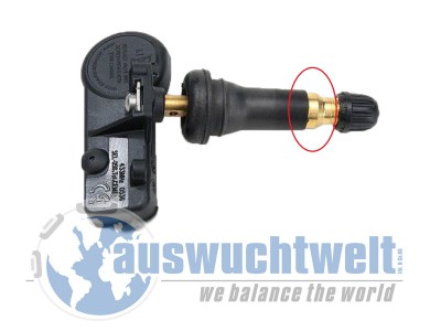 8363.jpg (195.57 KiB) 5075 mal betrachtet 8363.jpg