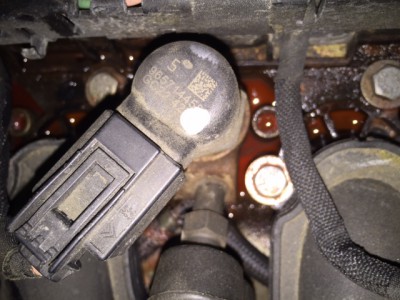 IMG_1744.JPG (124.81 KiB) 679 mal betrachtet IMG_1744.JPG