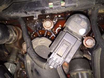 IMG_1746.JPG (133.77 KiB) 671 mal betrachtet IMG_1746.JPG