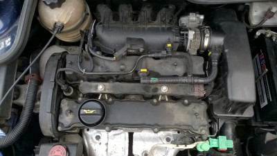 pgt.JPG (244.13 KiB) 2703 mal betrachtet pgt.JPG