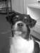 Userbild