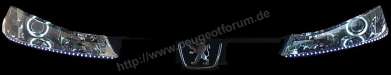 Userbild